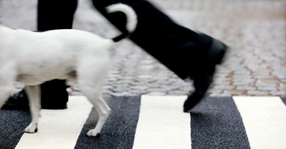 Bob Matte 140x220 Cm, Black/Vanilla 2 Bob Matte 140x220 Cm, Black/Vanilla – Bild 2