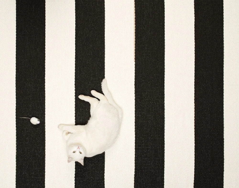 Bob Matte 140x220 Cm, Black/Vanilla 3 Bob Matte 140x220 Cm, Black/Vanilla – Bild 3