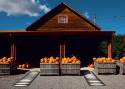 Ella Matte 70x300 Cm, Warm Grey/Vanilla -Hay || Linie Design || Bloomingville Verkäufe pappelina ella matte 70x150 cm warm grey vanilla 3 1